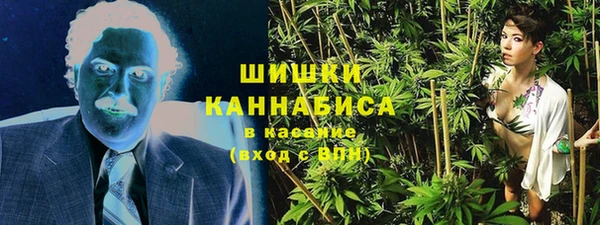 mix Богородск