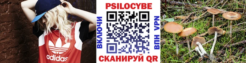 Галлюциногенные грибы Psilocybine cubensis  hydra как зайти  Донской 